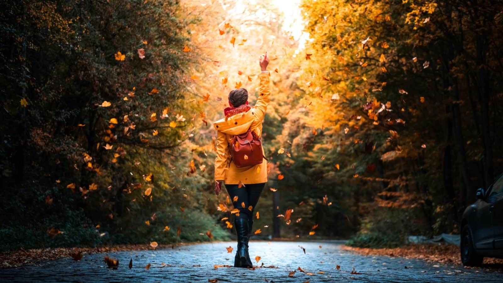 Autumn-1600×900